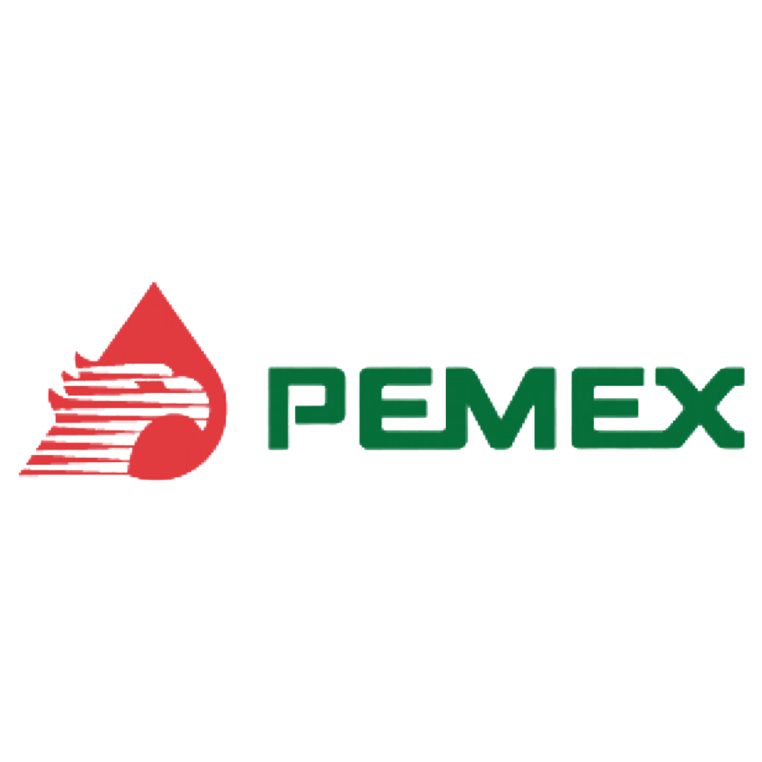 Logo 1